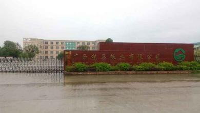 廣西桂巽板業(yè)有限公司60噸導熱油爐系統(tǒng)清洗工程結(jié)束